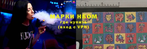 шишки Каменногорск