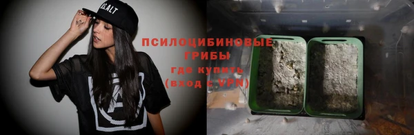 СК Козельск